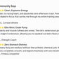 Plant-Based Pre-Workout Powder | Nitric Oxide Boost – Knockout Power Nutrition