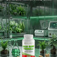 Calm-Plant-Based Sleep Formula