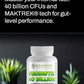 probiotic gut health